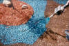 picture of hydroseeding color and spray